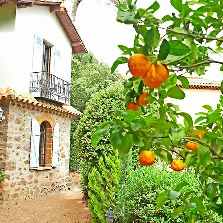 Le Trayas Superieur Holiday home *
